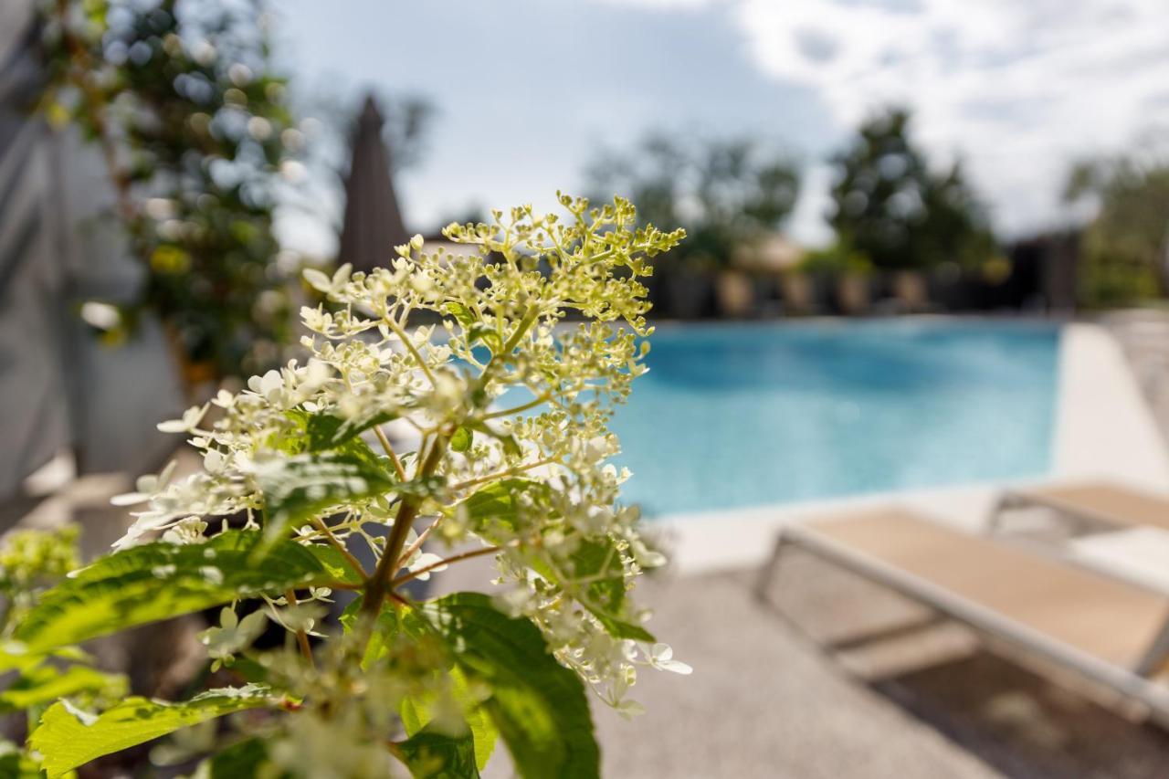 Art Hotel Ventaglio Bardolino Zewnętrze zdjęcie